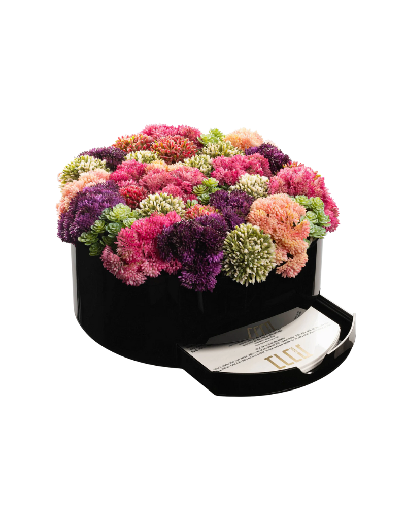 Succulent Pink Round Vase Bencher Set