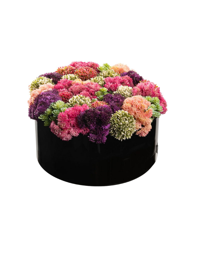 Succulent Pink Round Vase Bencher Set