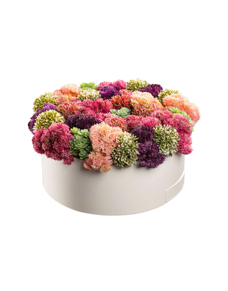 Succulent Pink Round Vase Bencher Set