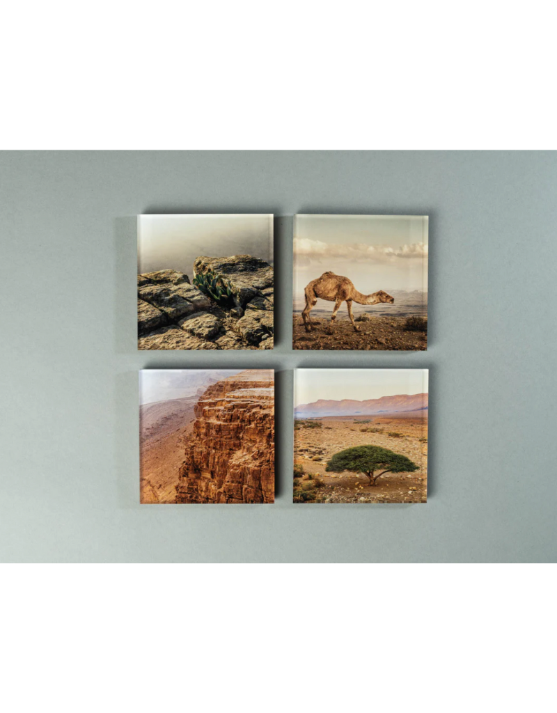 Coaster Set