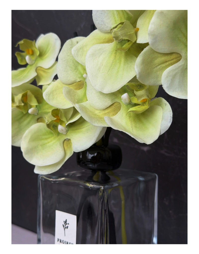 Signature Edition | Plum Botanique Orchid Diffuser