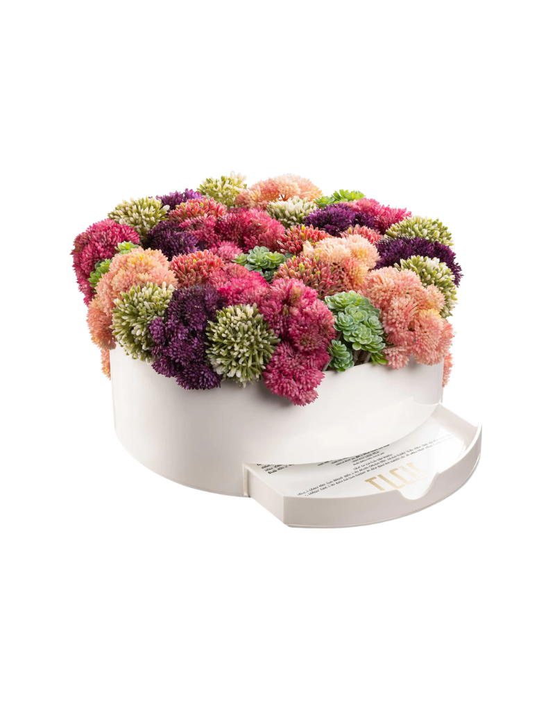 Succulent Pink Round Vase Bencher Set