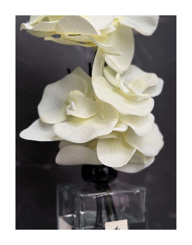 Signature Edition | Veil in White Orchid Diffuser