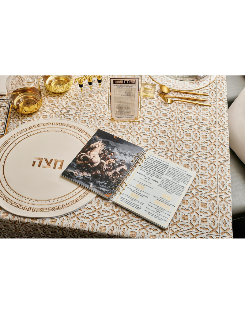 Painted by Batya Lucite Haggadah