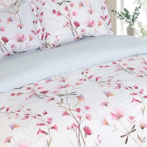 Daisy Dreams - Blush