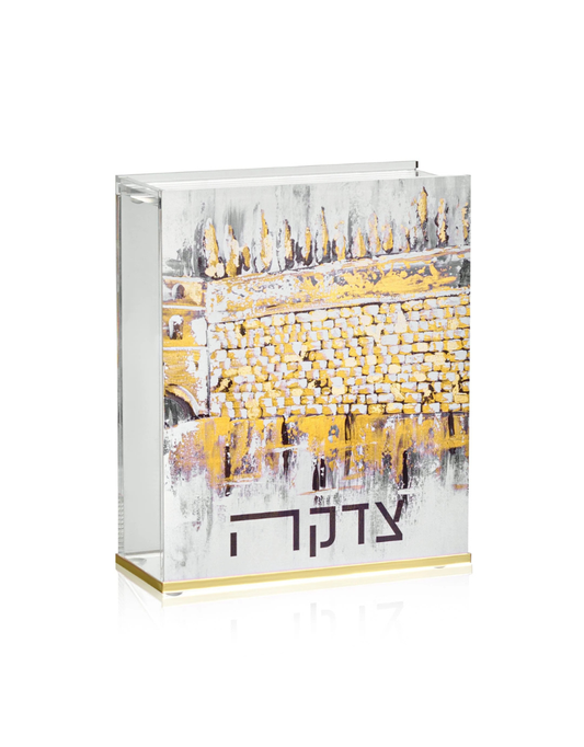 Kosel at Winter Tzedakah Box