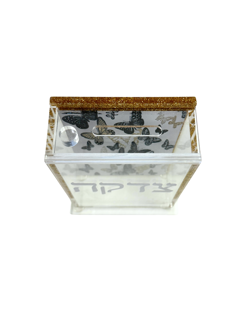 Acrylic Tzedaka Boxes - Choose Your Design!