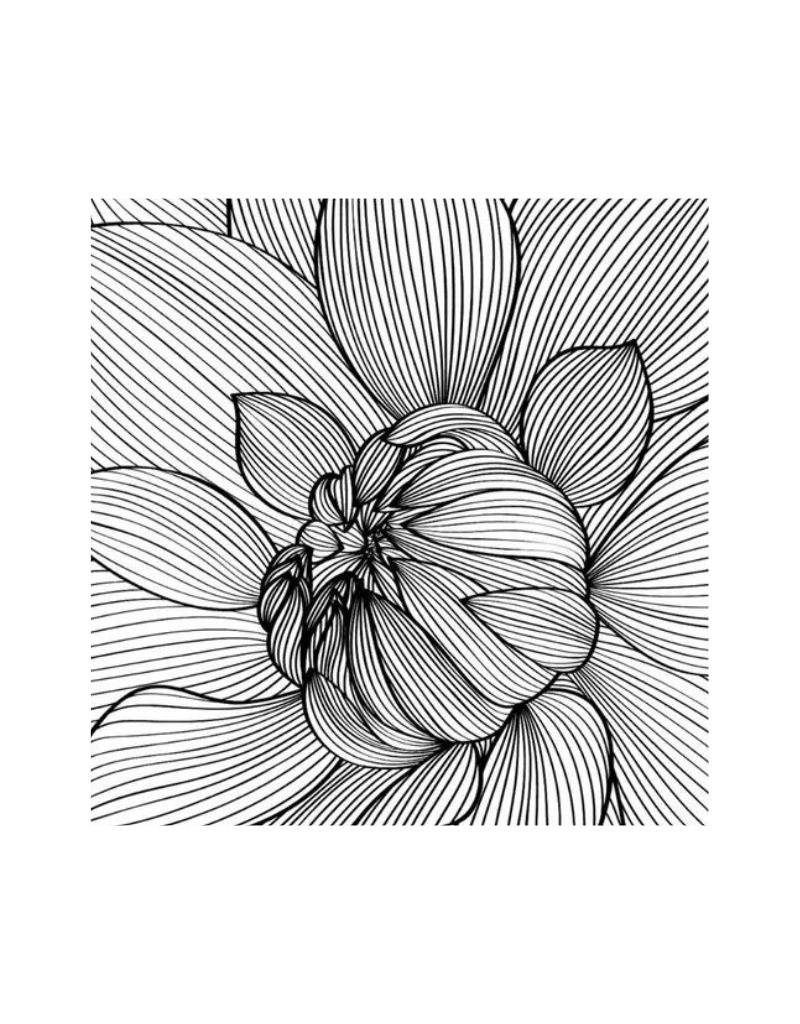 White Flower Large Tea Box