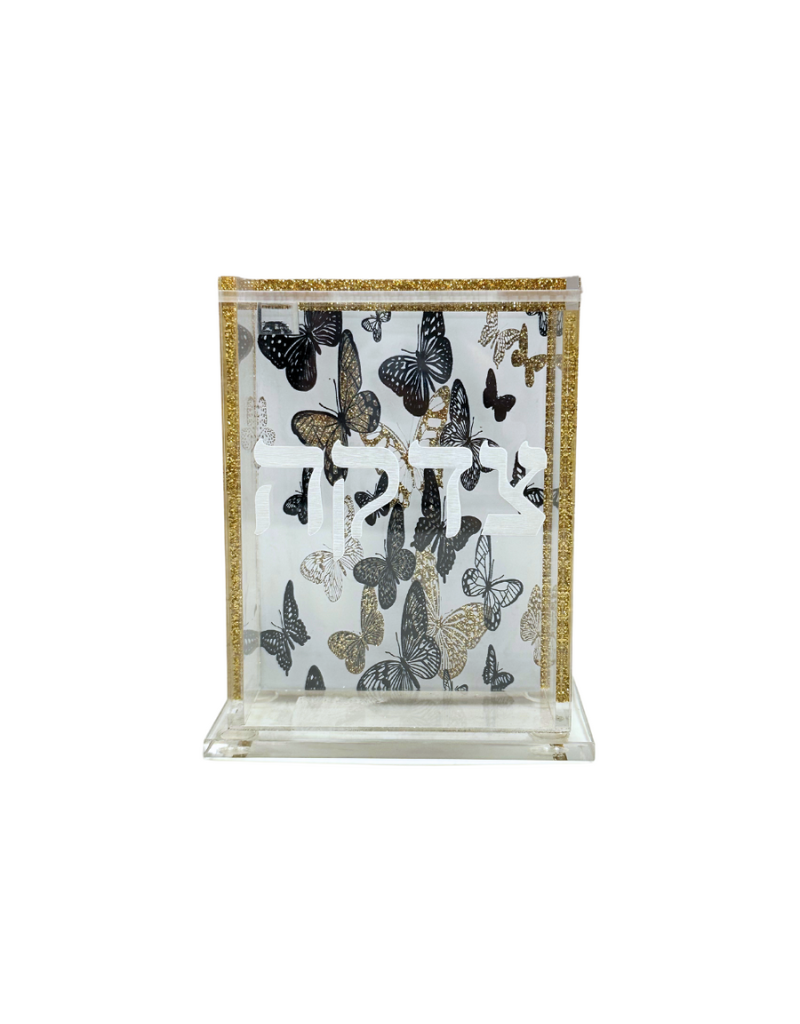 Acrylic Tzedaka Boxes - Choose Your Design!