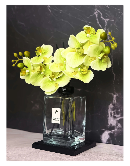 Signature Edition | Plum Botanique Orchid Diffuser