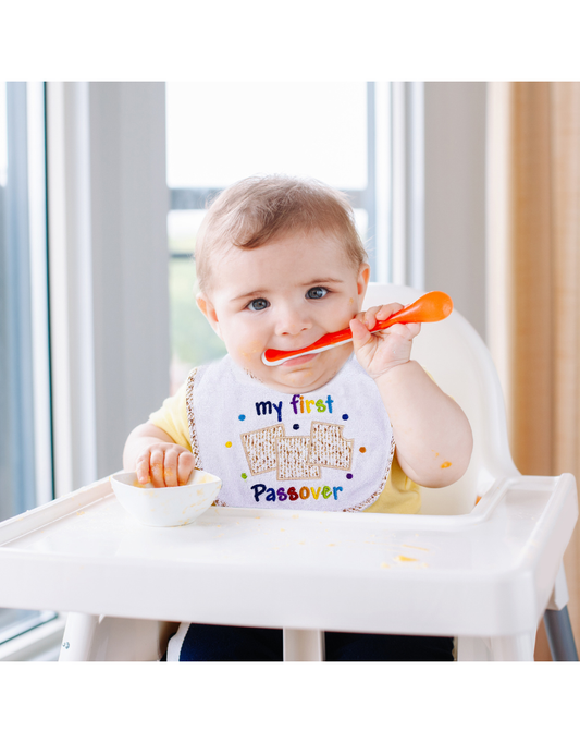 "My First Passover" Bib