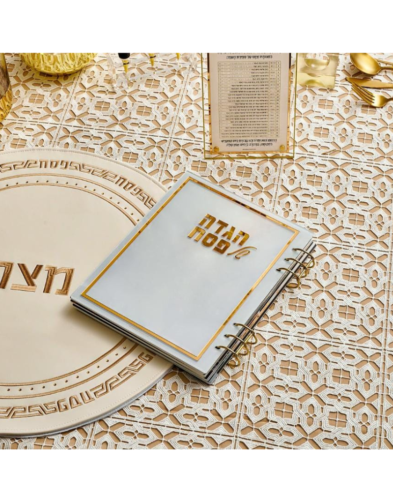 Painted by Batya Lucite Haggadah