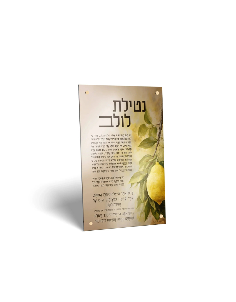 Painted by Batya Sukkah Decoration Set