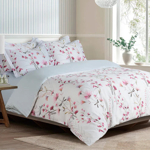 Daisy Dreams - Blush