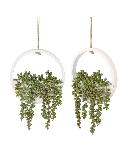 Set of 2 Succulent Hanging Plants Decor