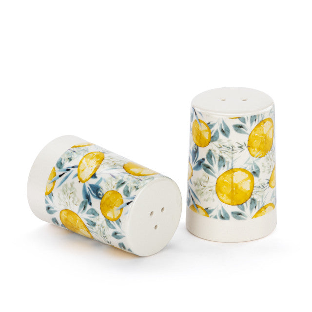 Lemons Stoneware Salt & Pepper Set