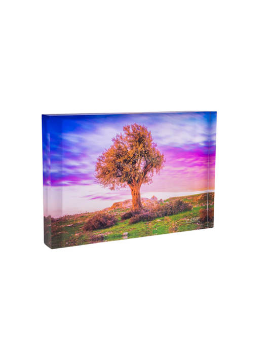 Hidden Light Acrylic Art Block