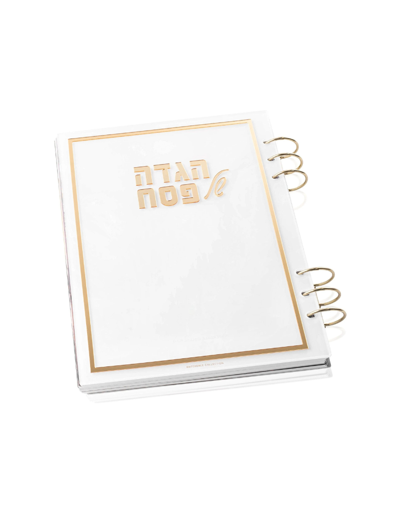 Painted by Batya Lucite Haggadah