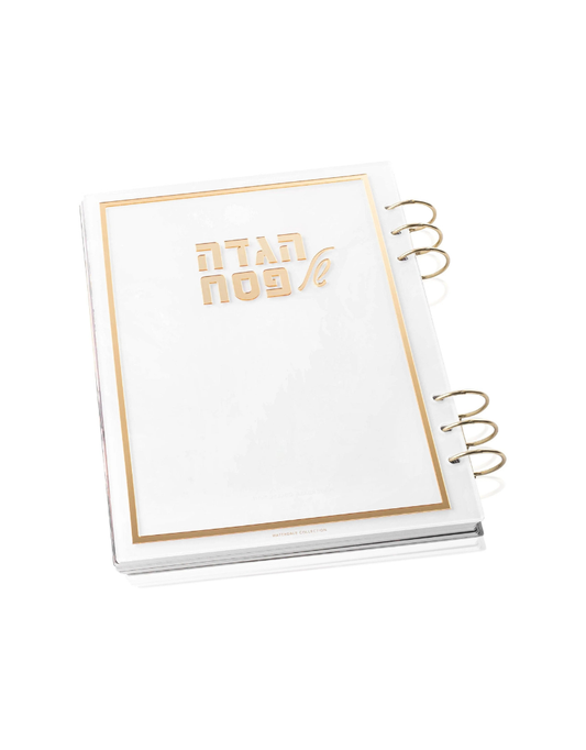 Painted by Batya Lucite Haggadah