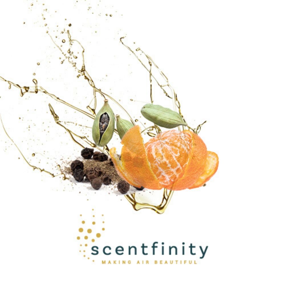 Scentfinity Junior Plugin Diffuser Combo Gift Box