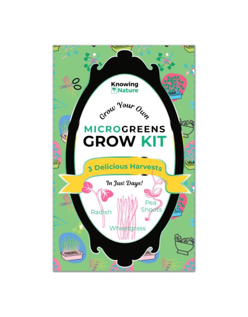 Grow-At-Home MicroGreens Kit