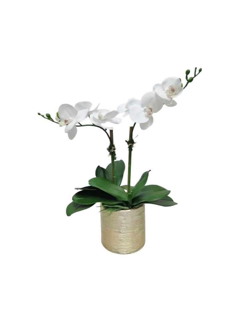 White Orchid Plant In Matte Gold Vase